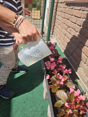Blumen gießen Blumen gießen